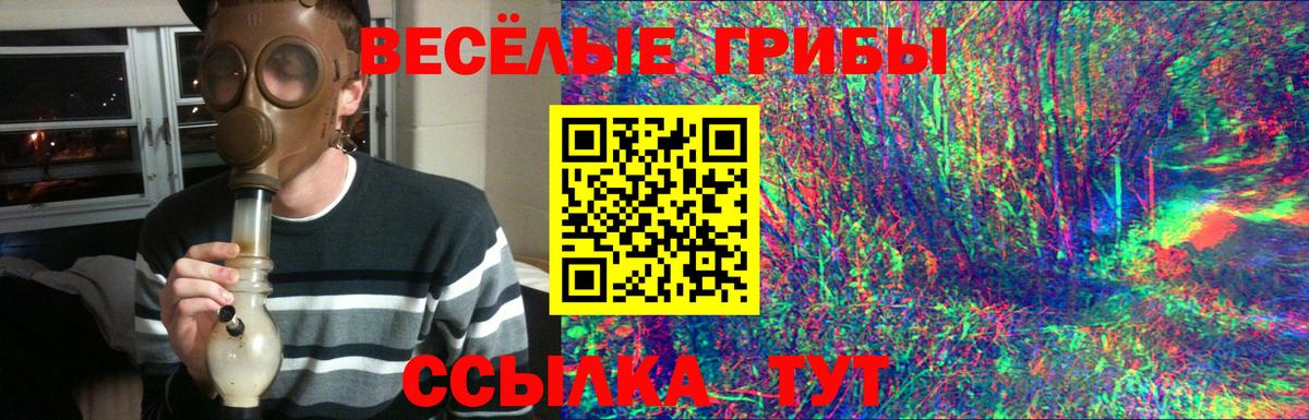 Псилоцибиновые грибы мухоморы Саров